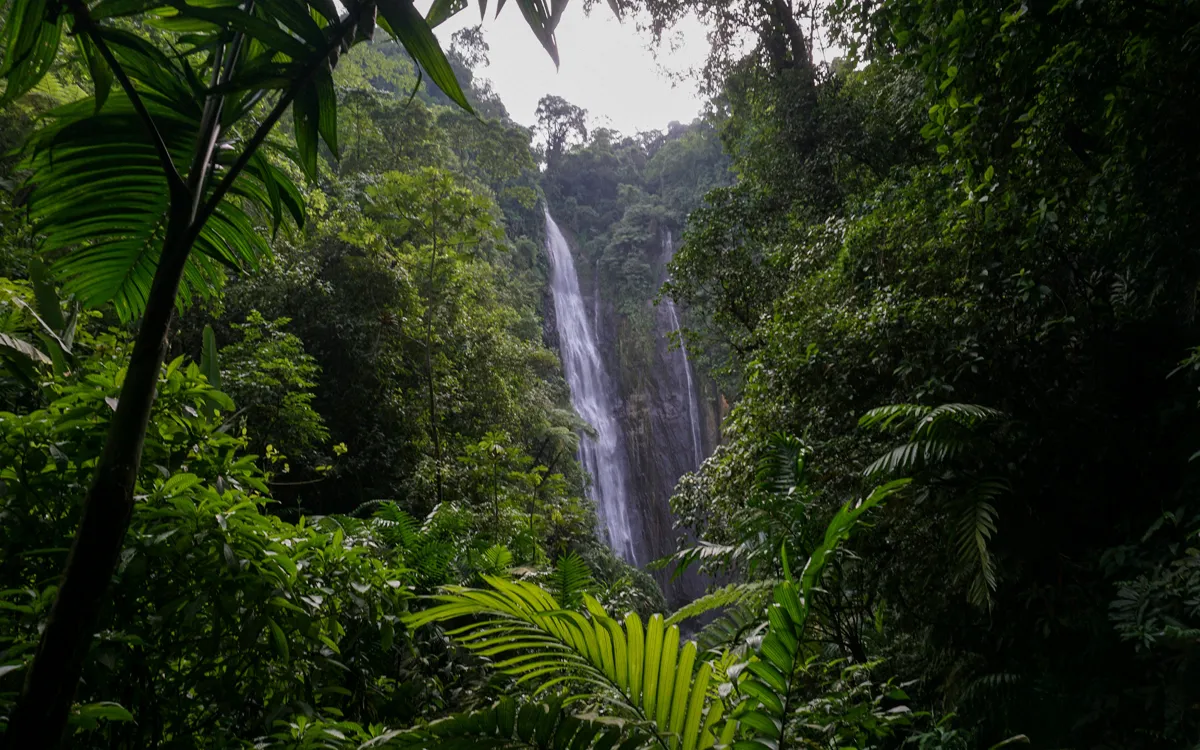 Rencontre : Les sons de la nature