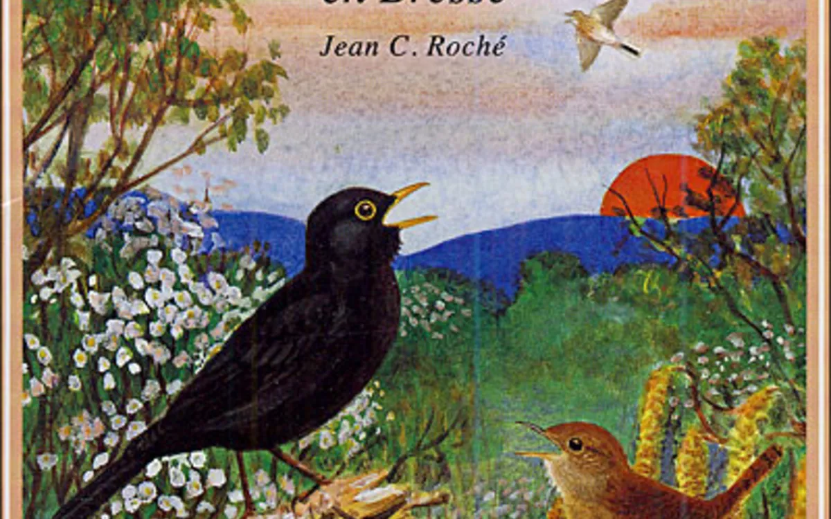 Le Grand bain : le réveil des oiseaux en Bresse
