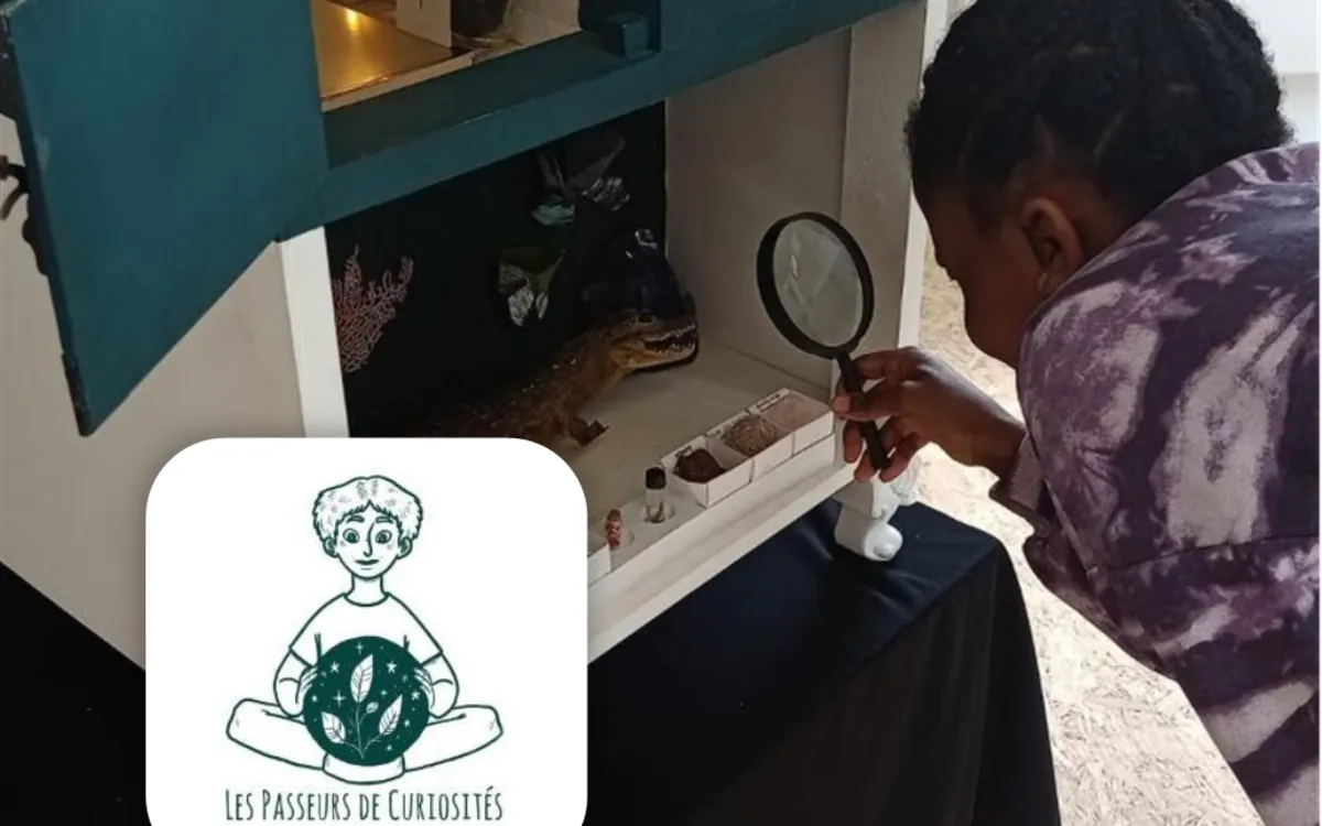 Escape Box avec "Les Passeurs de Curiosités"