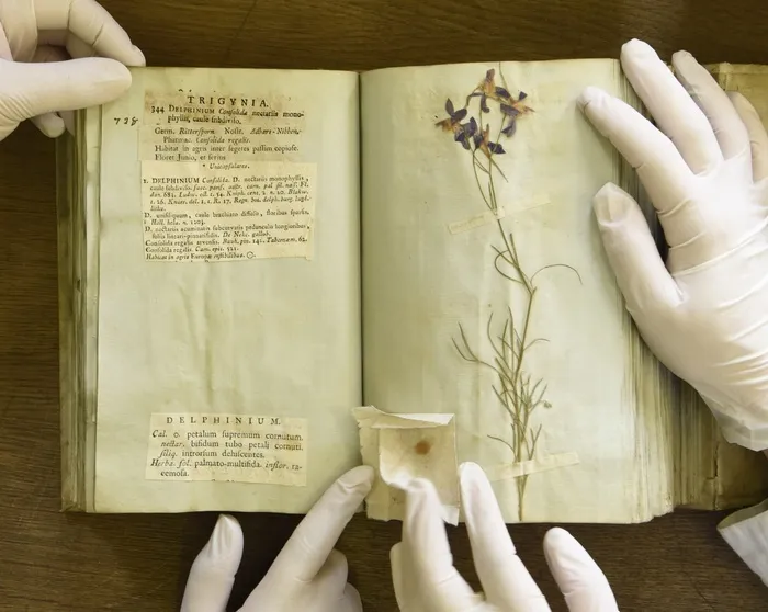 L'herbier de l’Université Lyon 1 : des collectes du XVIIIème siècle à l’herbier virtuel