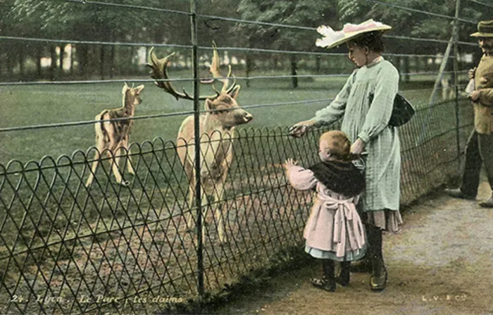 Histoire du Parc zoologique de Lyon