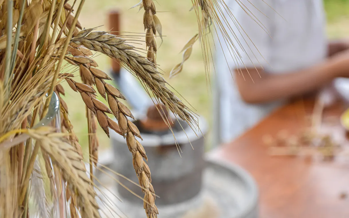 Les vacances d'été à la Ferme de Paris