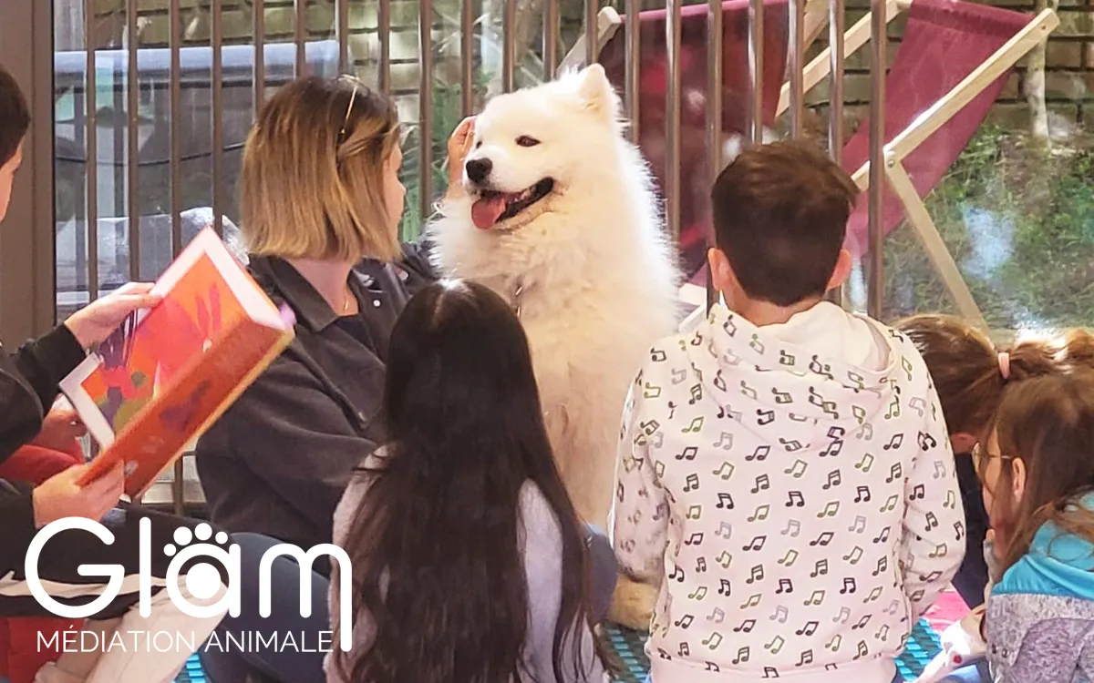Médiation animale : lire avec un chien