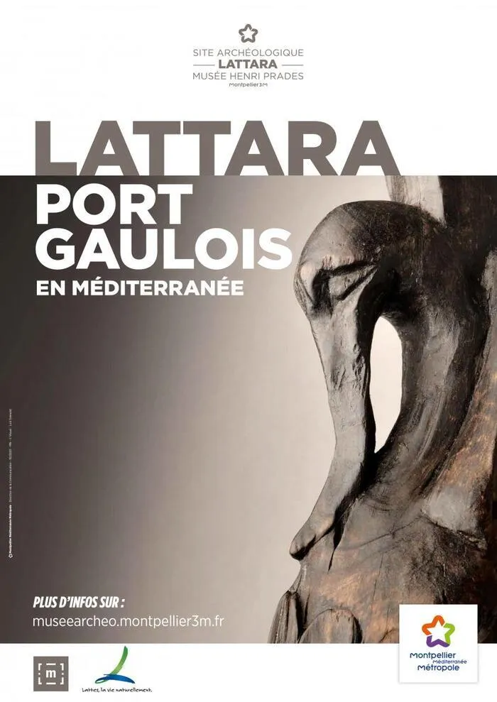 Lattara : visite libre de la collection permanente