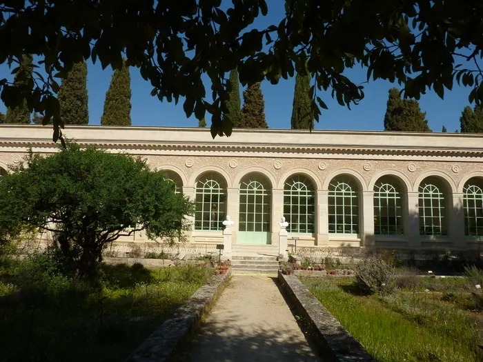 À la découverte du jardin des plantes de Montpellier