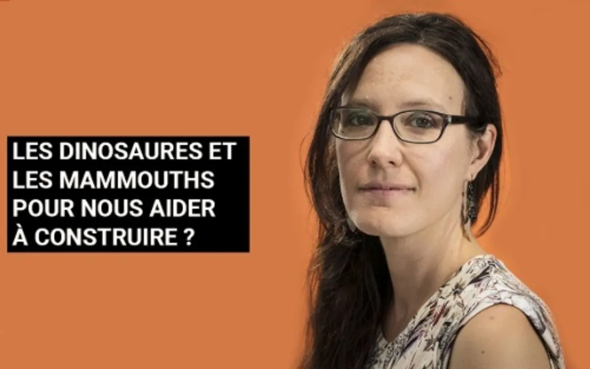 La paléo-bioinspiration : quand les fossiles inspirent le futur