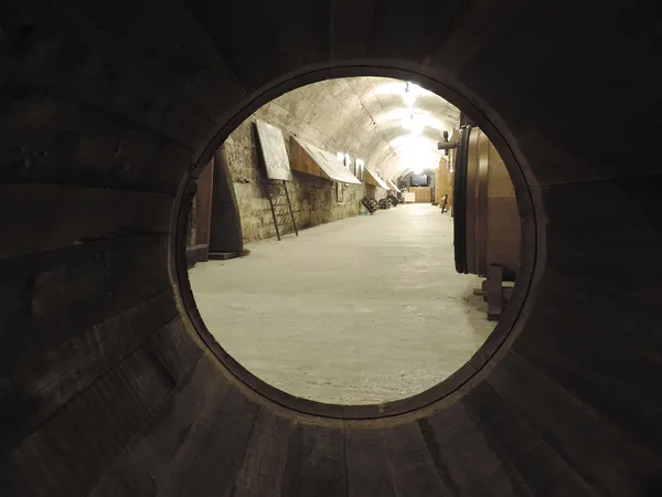 « Patrimoine en péril » : zoom sur la filière viticole bordelaise