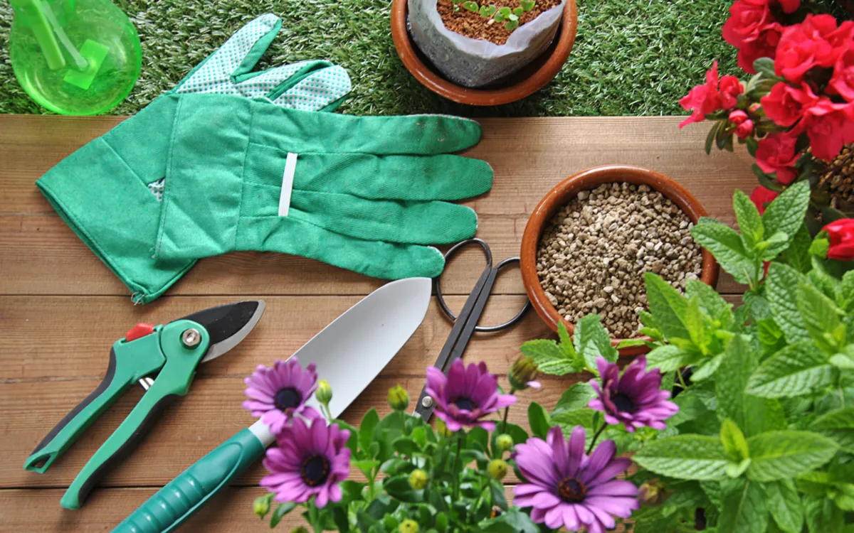 Rendez-vous au jardin !