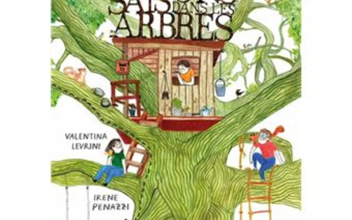 Quatre saisons dans les arbres