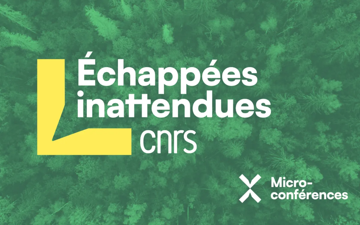 Echappées inattendues : la bioinspiration